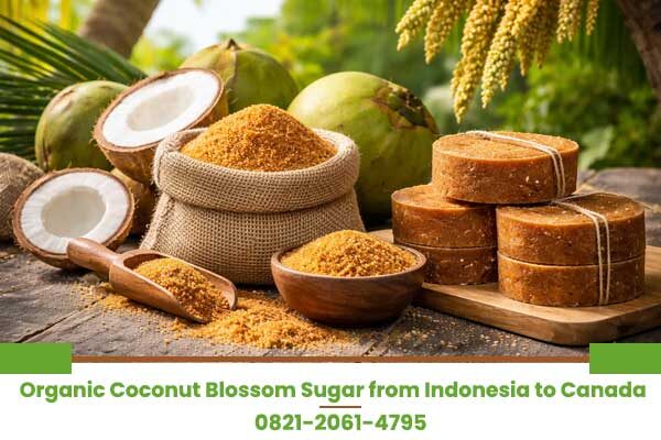 Organic Coconut Blossom Sugar from Indonesia to Canada