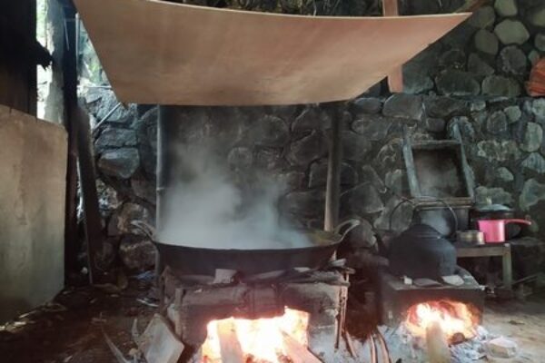 Organic Coconut Sugar Supplier (3)
