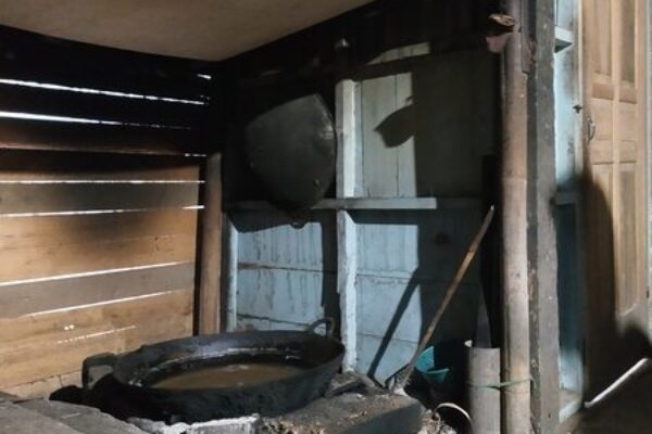 Organic Coconut Sugar Supplier (4)